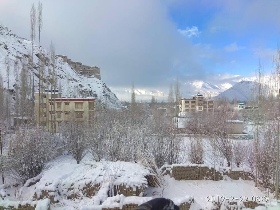 Hotel Snow Lion Ladakh Leh Exterior foto