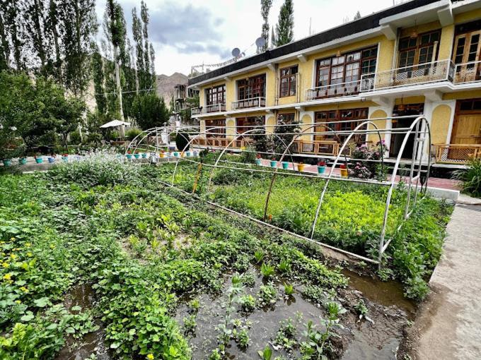 Hotel Snow Lion Ladakh Leh Exterior foto